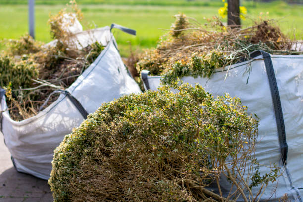 Best Appliance Removal Near Me  in Mentor, OH